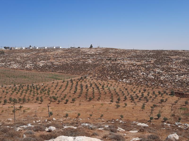 הנוף מחאן ערוגות