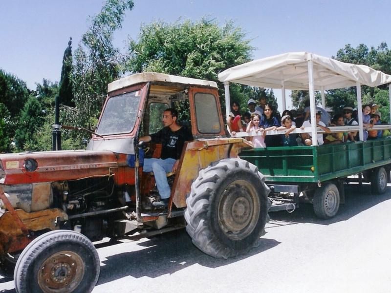 פסטיבל הדובדבנים בגוש עציון