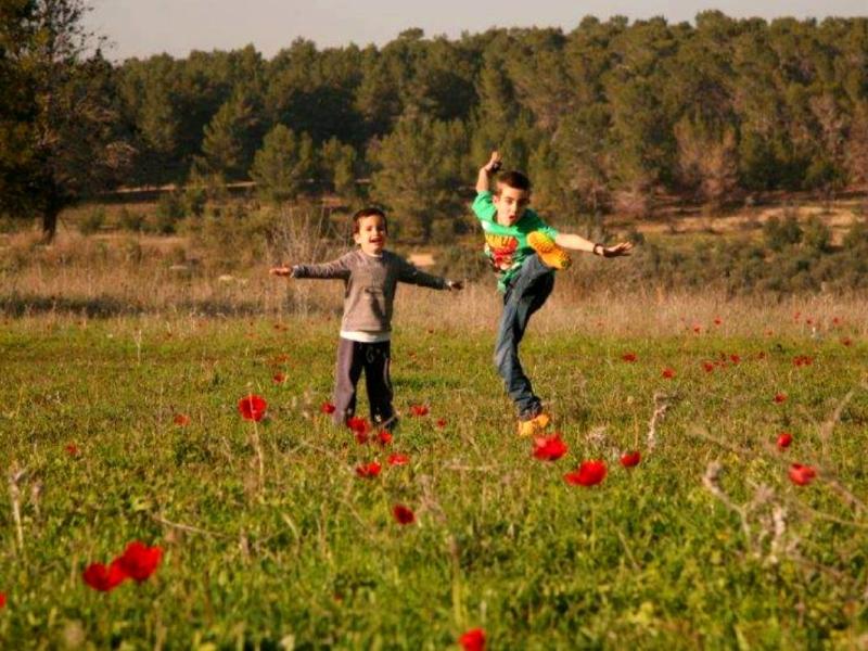 ט"ו בשבט בחבל מודיעין