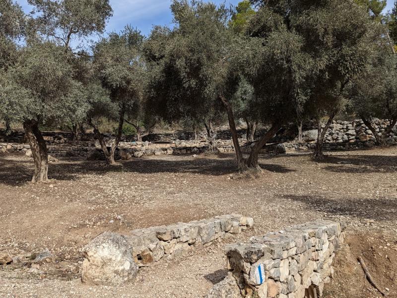 חניון הזיתים ביער אשתאול